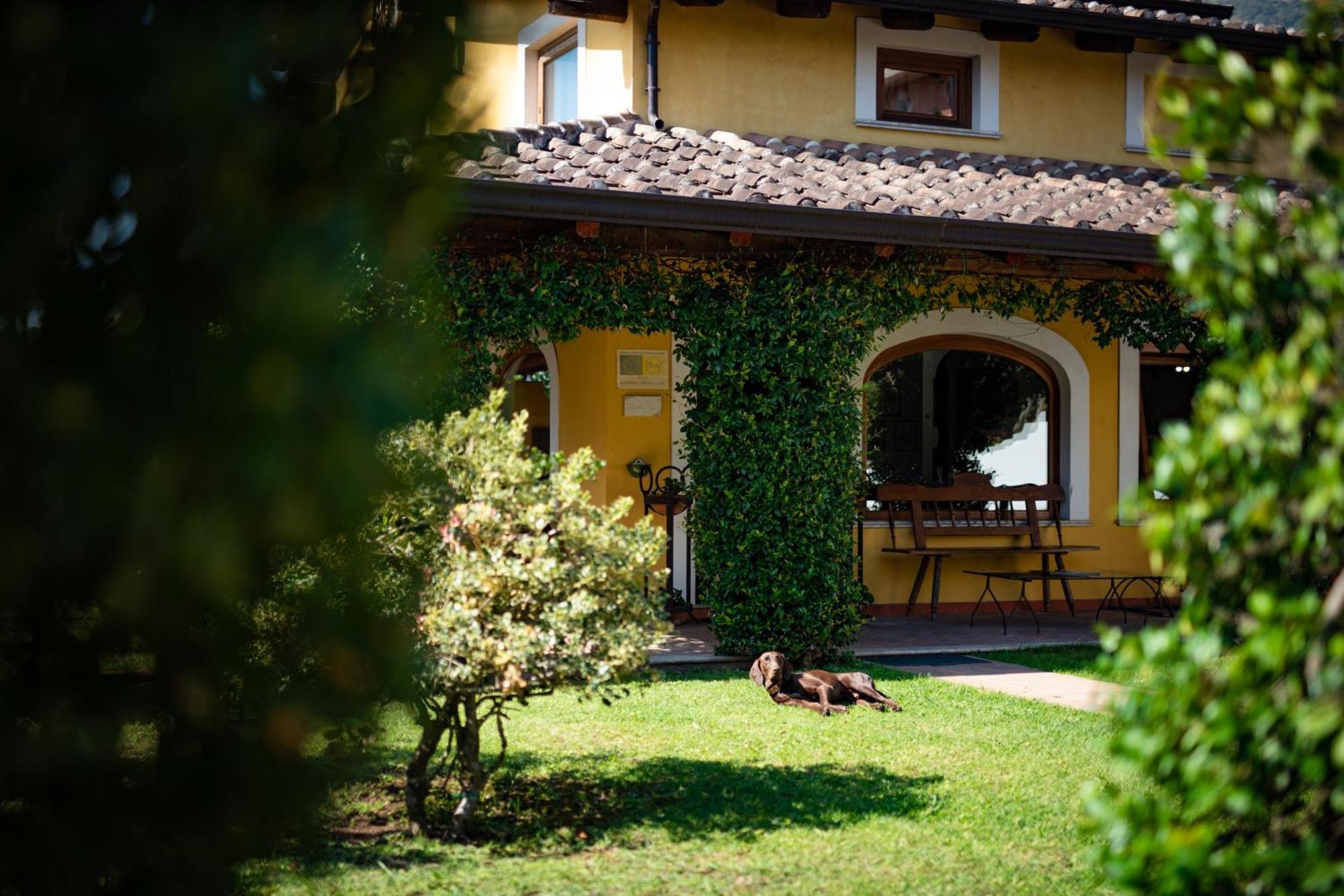 Hotel Villa Rizzo Resort And Spa San Cipriano Picentino Zewnętrze zdjęcie